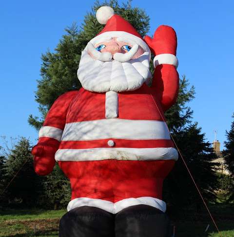 Digby Farm - Christmas Trees, Gifts, Decorations and more photo